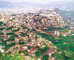 عنصر حوثي يقتل ليمونة في محافظة إب