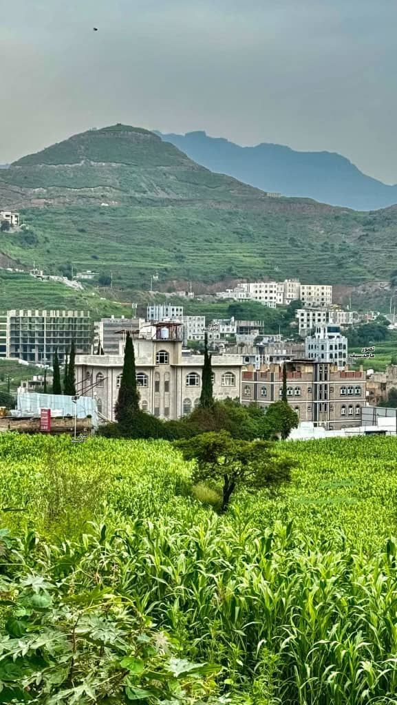 مختل عقلياً يحرق سيارة مواطن في إب بسبب البرد