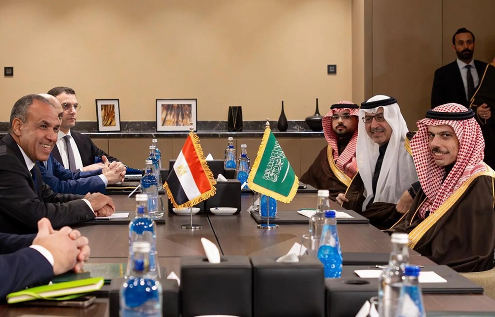 وزيرا خارجية السعودية ومصر يناقشان آخر التطورات في اليمن