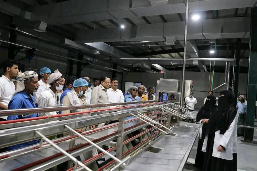 برايم الإماراتية تتراجع عن تعليق نشاطها وتعد صيادي سقطرى باستئناف استلام الأسماك