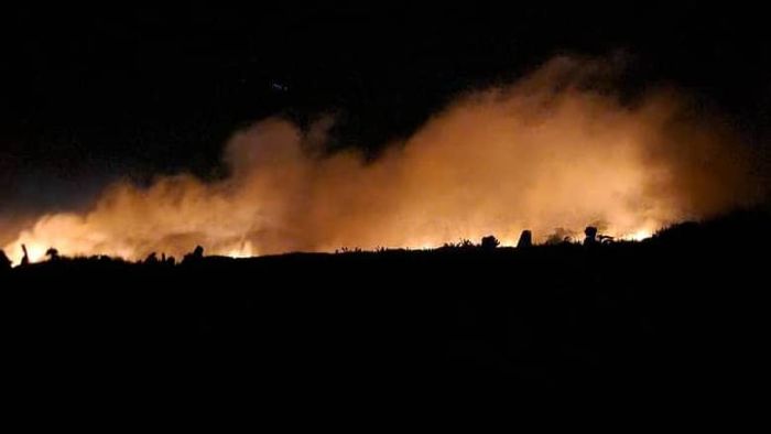 حريق هائل يدمر مزارع موز في زنجبار أبين ويخلّف خسائر اقتصادية كبيرة