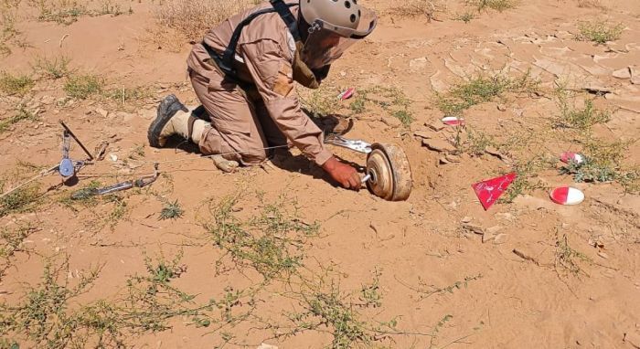 مسام ينزع أكثر من 2800 لغماً وذخيرة غير منفجرة خلال أسبوعين