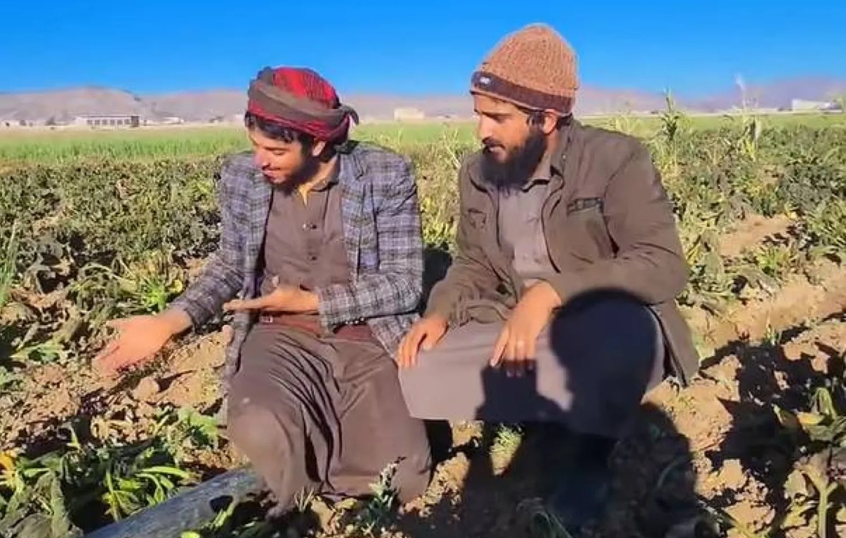 فلكي يمني يحذر المزارعين في المرتفعات والاحواض الجبلية من موجة صقيع 