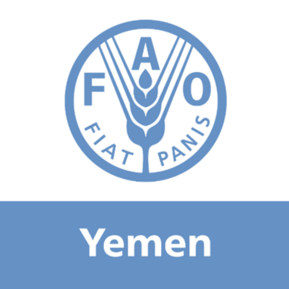منظمة الفاو تسعى لحشد أكثر من 260 مليون دولار لدعم خطة الطوارئ والإنعاش والتنمية في اليمن